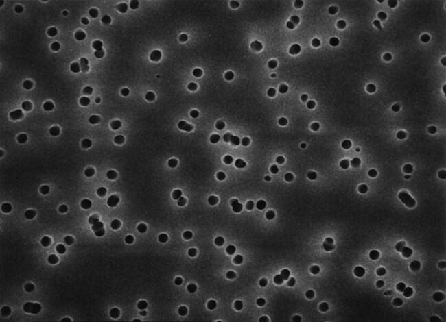 MilliporeSigma Isopore Membranfilter, Po